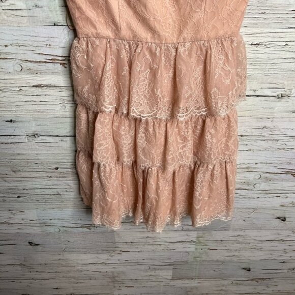 BCBGMaxAzria Lilah Tiered-Lace Strapless Dress bare pink size 8 - Picture 2 of 9